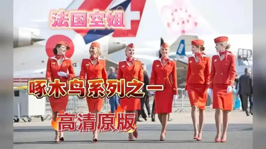 《法国空姐4》资源下载-法国空姐4完整版免费观看-超高清在线观看-法版空姐全季无删减