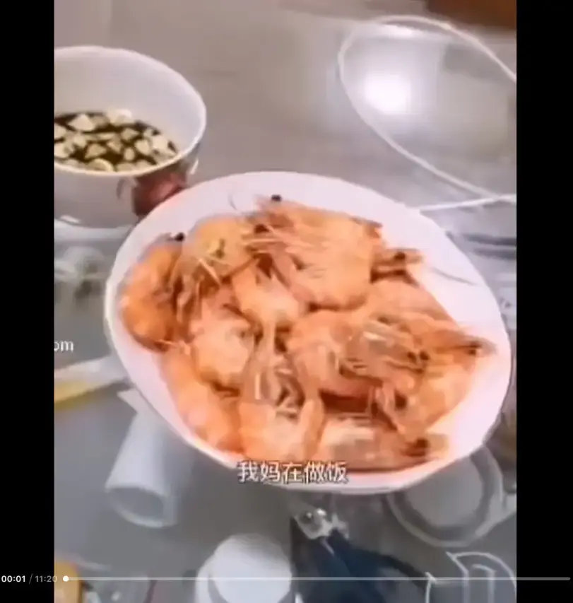 《大虾母子厨房完整版》高清视频免费在线观看 百度/夸克/迅雷网盘资源分享 揭开梗的神秘面纱 猎奇视频大虾母子厨房完整版来龙去脉一看就懂