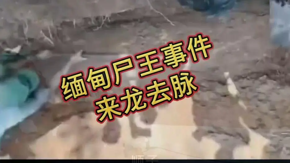 在线观看《缅甸僵尸出土事件视频》完整版资源下载 - 缅北僵尸出土事件始末原视频高清无删减全程录像免费播放