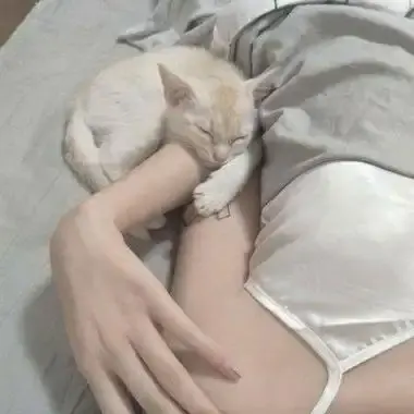 《昆廷夫夫合集》比各大平台更全 未删减中文版全集 1080P高清画质修复 网盘在线观看无广告资源放送